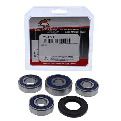 Yamaha XJ900S Diversion 1995-2001 Rear Wheel Bearing Kit All Balls