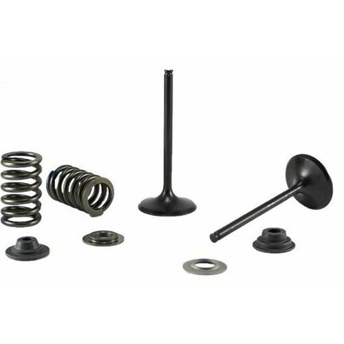 Gas Gas EC450F 2013-2015 Psychic Steel Exhaust Valve Spring & Retainer Kit