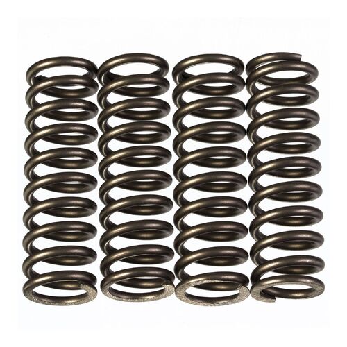 Kawasaki Z750 2009-2010 Premier Heavy Duty Clutch Springs