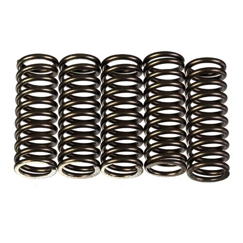 Kawasaki Z750 2005-2008 Premier Heavy Duty Clutch Springs Indent