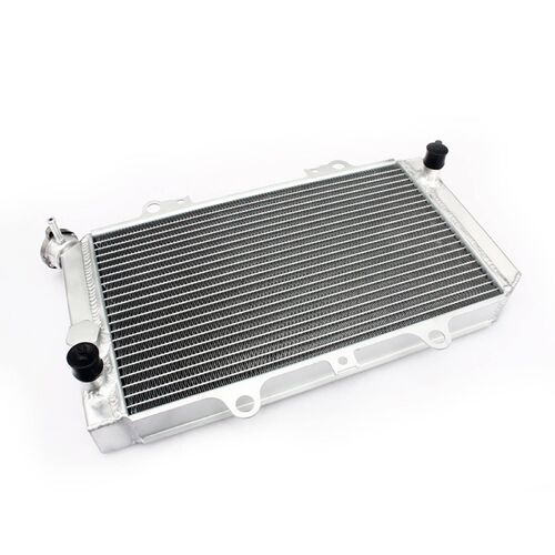 Yamaha YFM600Fwa Grizzly 2002 Whites Radiator