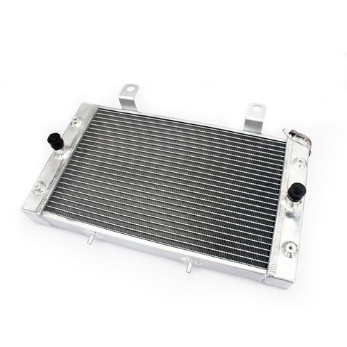 Yamaha YXR700Fa Rhino 2013 Whites Radiator